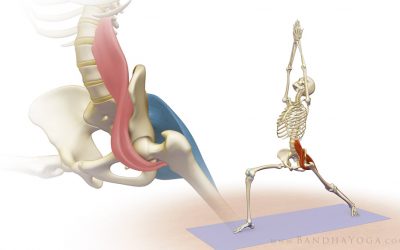 je psoas en stress