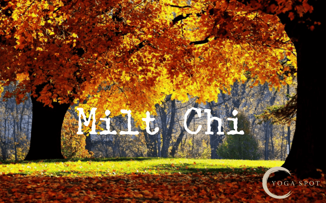 Herfst: Milt-Chi